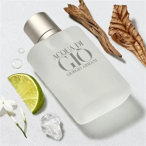 Giorgio Armani Acqua Di Gio EDT 100ml (Classic)